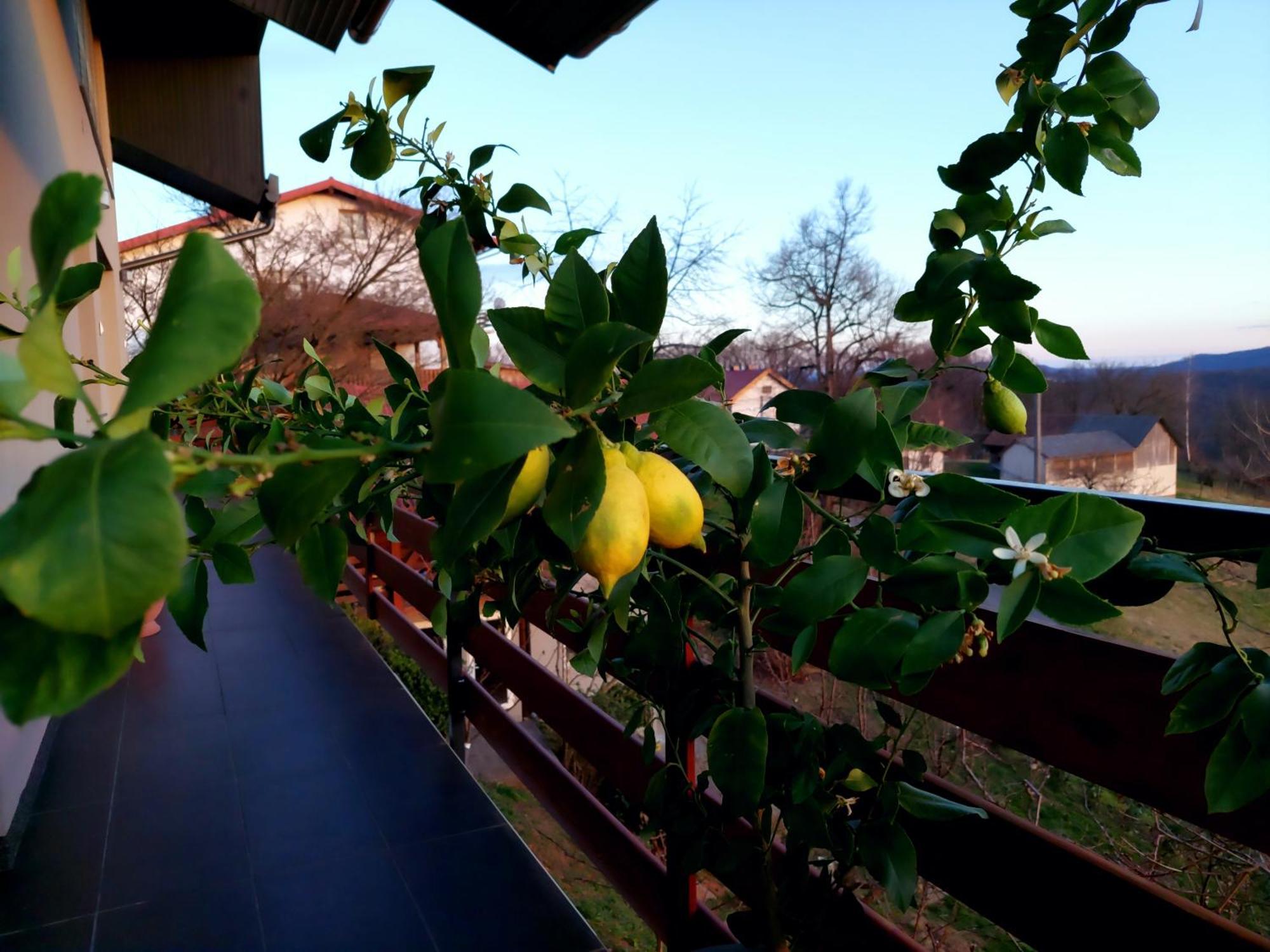 Apartman Masha Karlovac Exteriér fotografie